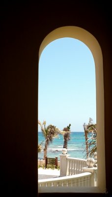 Window