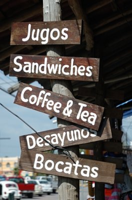 Bilingualism