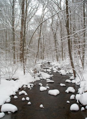 Winter in Connecticut