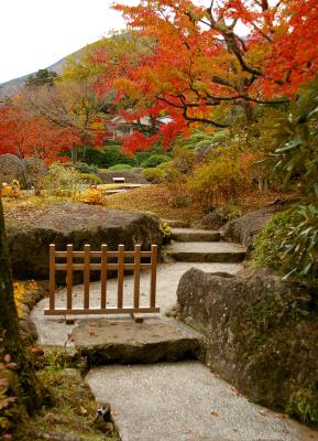 Hakone 2548 A.jpg