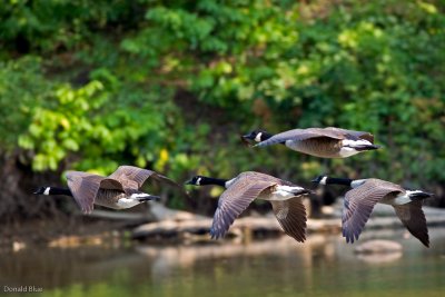IMG_0413-Edit.jpg