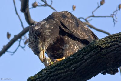 IMG_0414.jpg