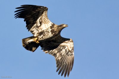 IMG_0476.jpg