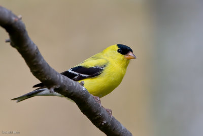 7B7D3079.jpg