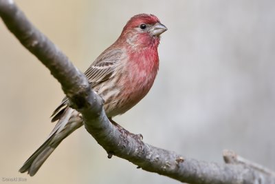 7B7D3018.jpg