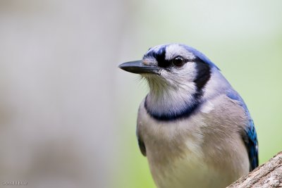 7B7D3226.jpg