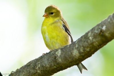 7B7D3701.jpg