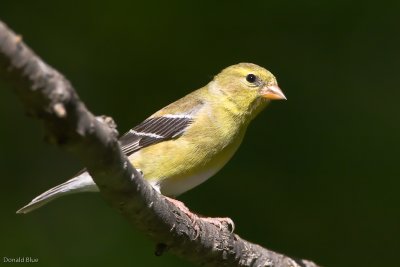 7B7D3924.jpg