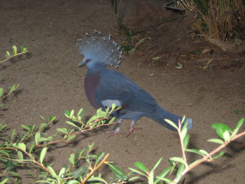 IMG_6187.JPG