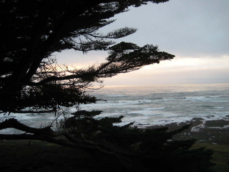 IMG_6476.JPG