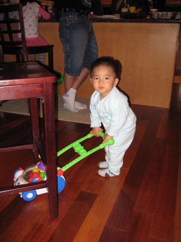 IMG_7382.JPG