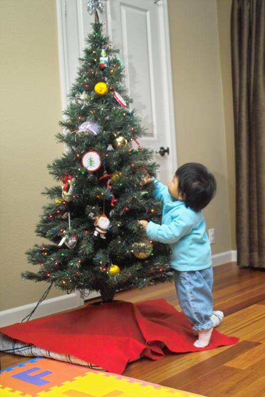 IMG04069.jpg