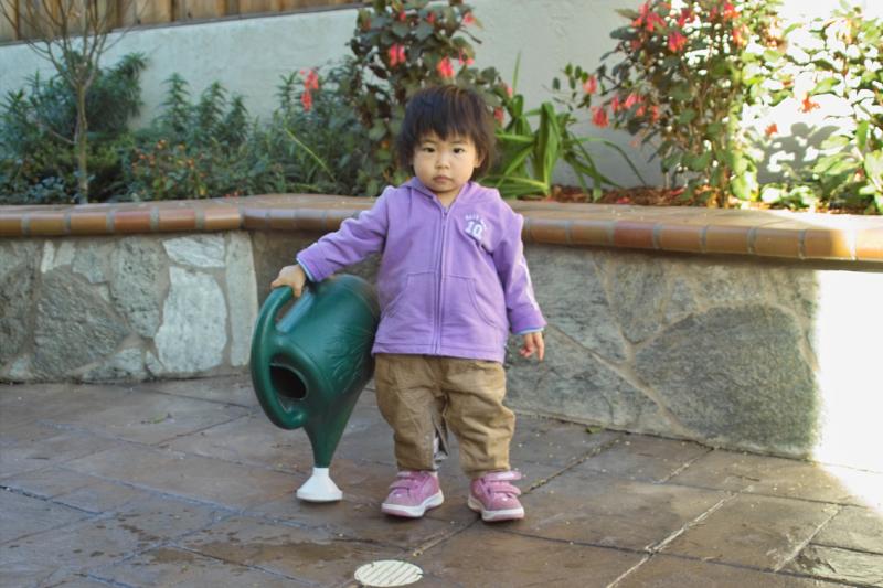 IMG04227.jpg