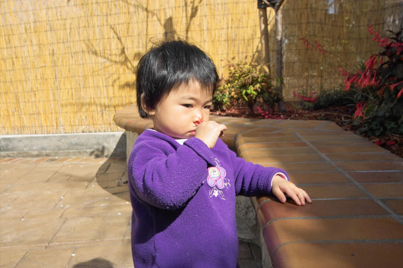 IMG04380.jpg