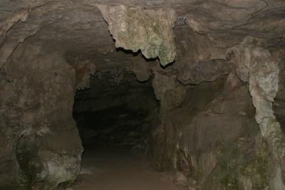 IMG_1916.JPG