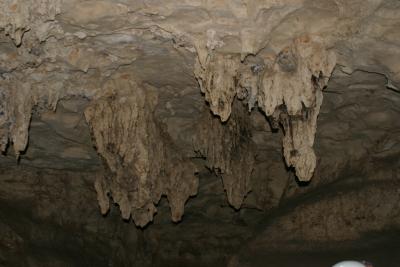 IMG_1921.JPG