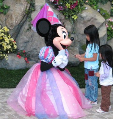 Princess Minnie.jpg