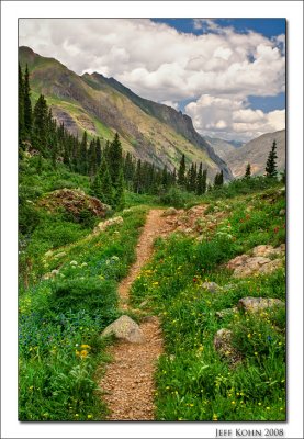 Wildflowers, Highland Mary Lakes Trail