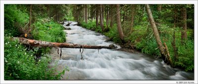 East Fork Dallas Creek