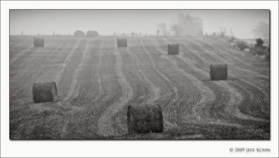 Hay Bales and Fog, Washington County
