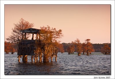 Duck Blind