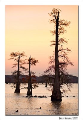 Caddo Lake, First Light