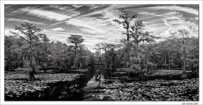 Mills Pond Panorama, Infrared