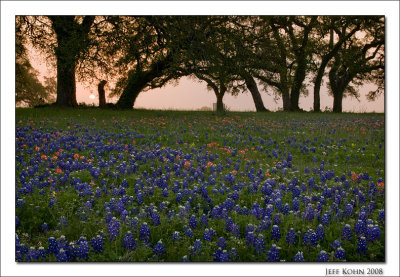 Sunrise, Old Baylor Park