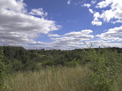 CRW_0344-01.jpg