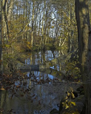 _B047392-01.jpg