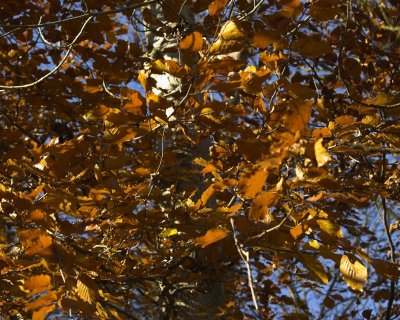 _B047419-01.jpg