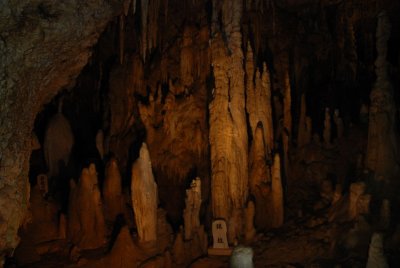 DSC_3660.JPG