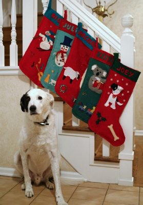 Finally a stocking for Joey