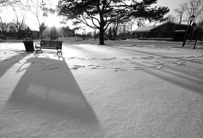 Black and White