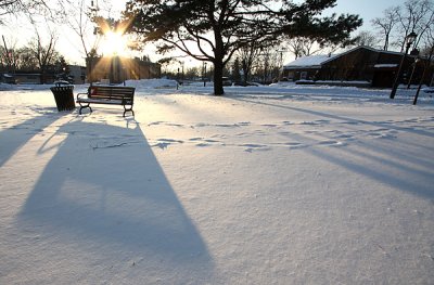 Long shadows