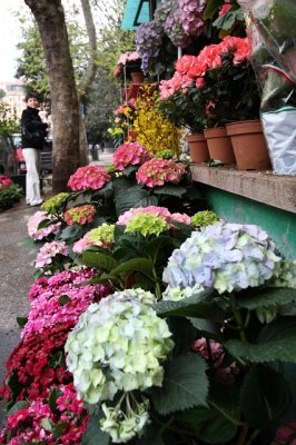 Scenes from Rome
