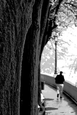 Adige River (monochrome)