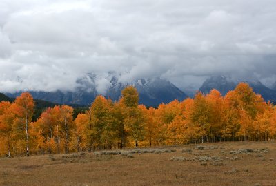 Grand Teton