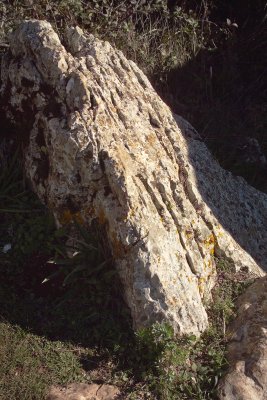 El Torcal Rock detail