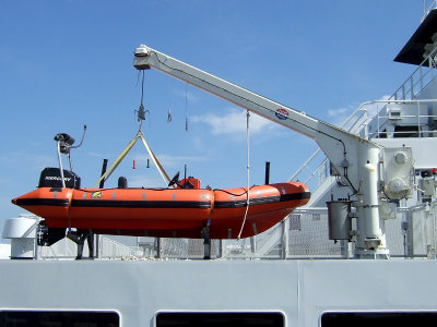 Rescue boat and davit