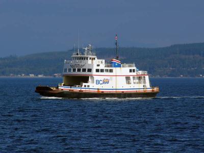 Quadra Queen II