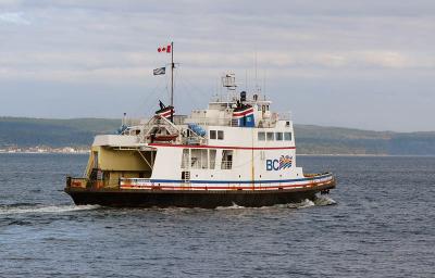 Quadra Queen II