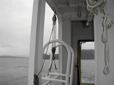 Evacuation Ladder