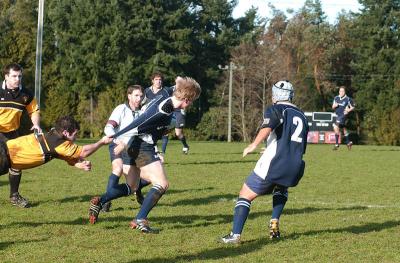 g3/45/387545/3/55405081.DSC_3781.jpg