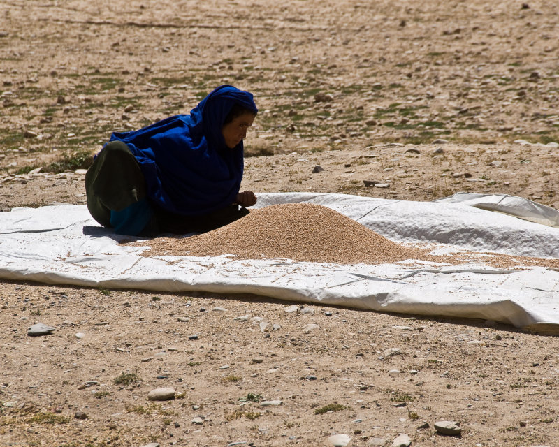DS20080806_0009(200ppi).jpg