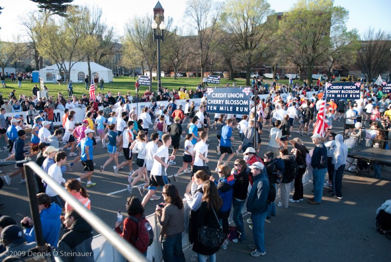 DS20090405_0311p.jpg