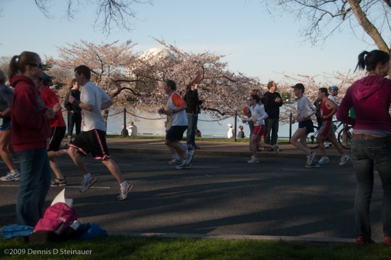 DS20090405_0559p.jpg