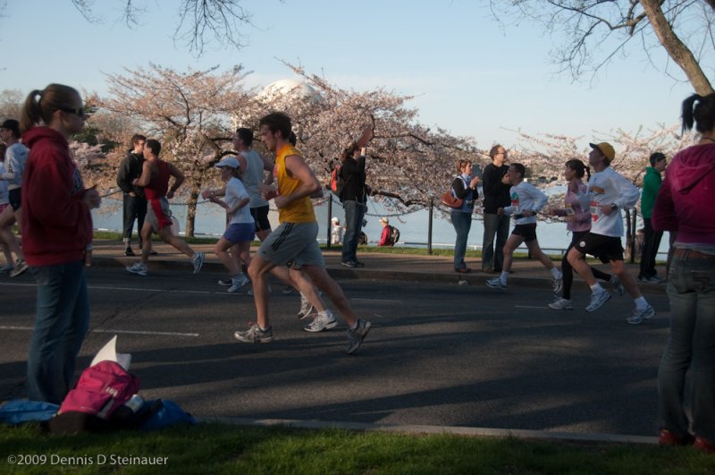 DS20090405_0560p.jpg