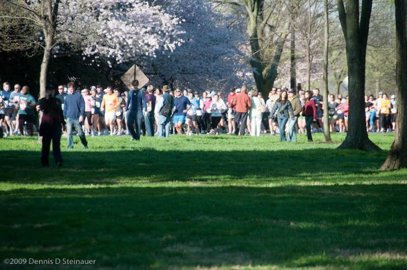 DS20090405_0698p.jpg