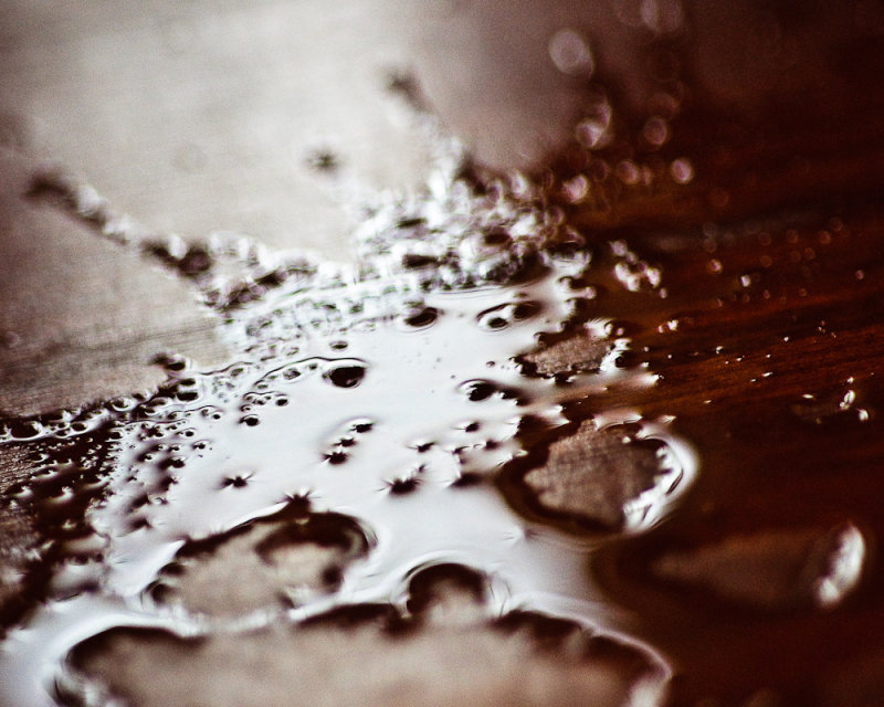 12/08/09 - No sense crying over spilled tea<br><font size=3>ds20091208-0015w.jpg</font>